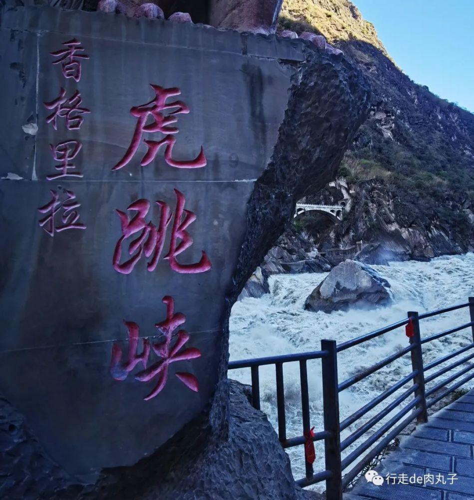 动物帮帮忙保卫家园