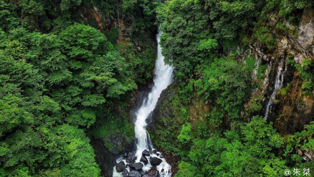 沪江开心词场