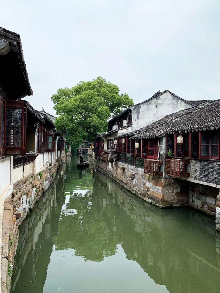 春雨直播app